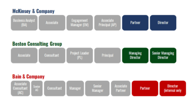 McKinsey Careers